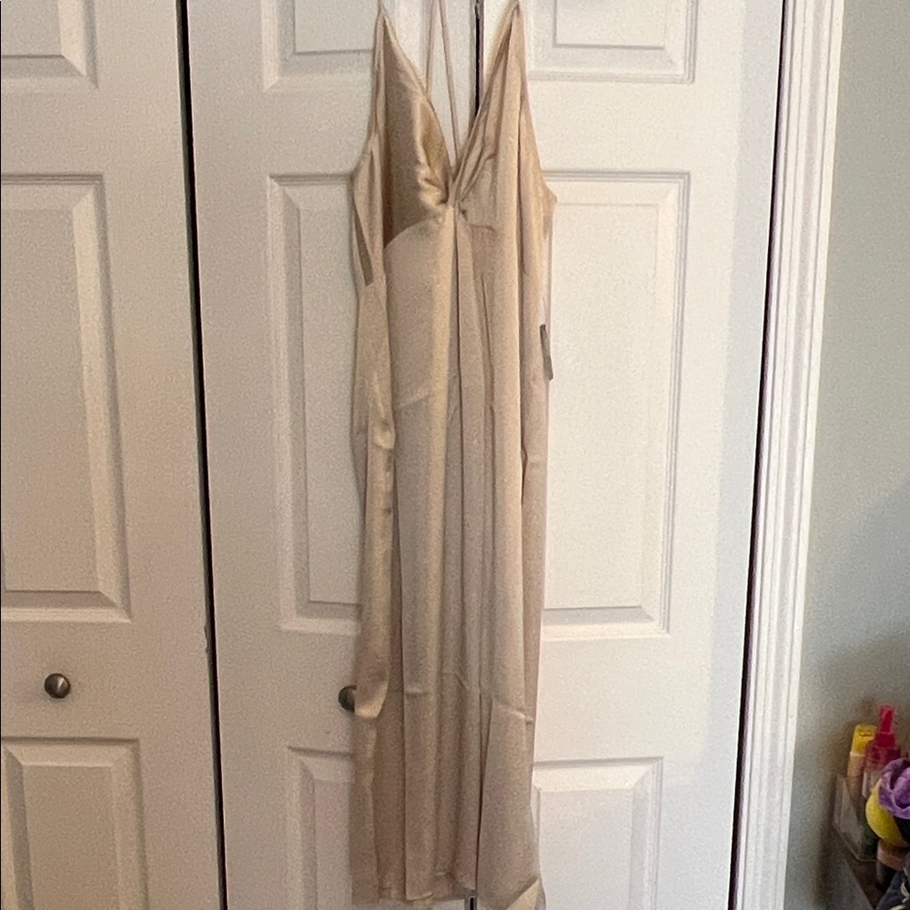 EXPRESS Champagne Cream Slip Dress